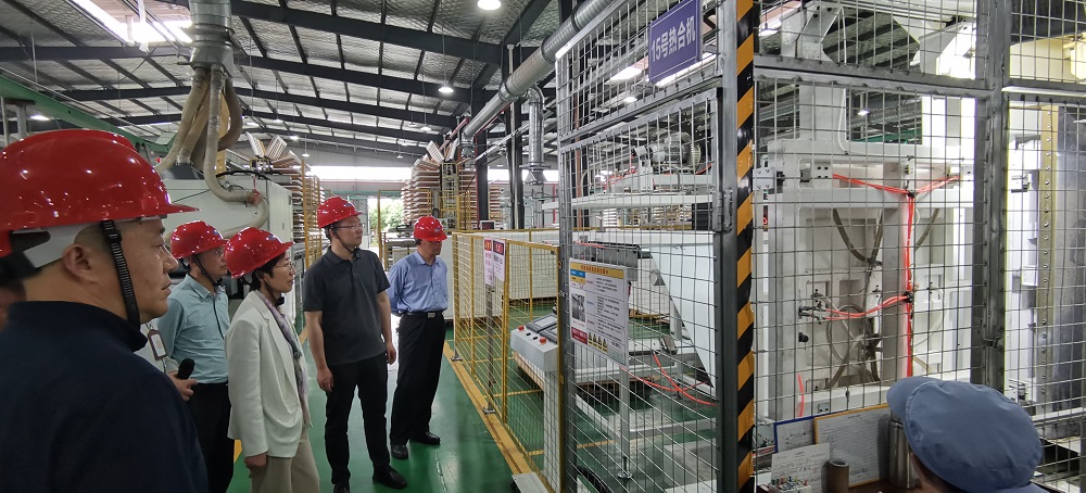 黄山市人大领导莅临安徽东远新材料有限公司参观考察